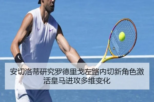 安切洛蒂研究罗德里戈左路内切新角色激活皇马进攻多维变化
